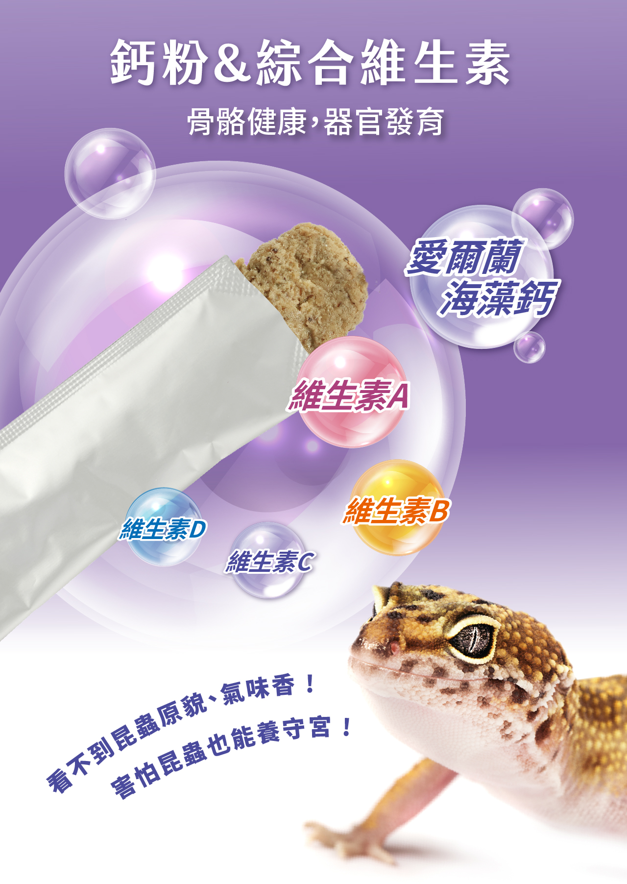 鈣粉&綜合維生素骨骼健康,器官發育維生素D維生素A愛爾蘭海藻鈣維生素C維生素B看不到昆蟲原貌、氣味香!害怕昆蟲也能養守宮!