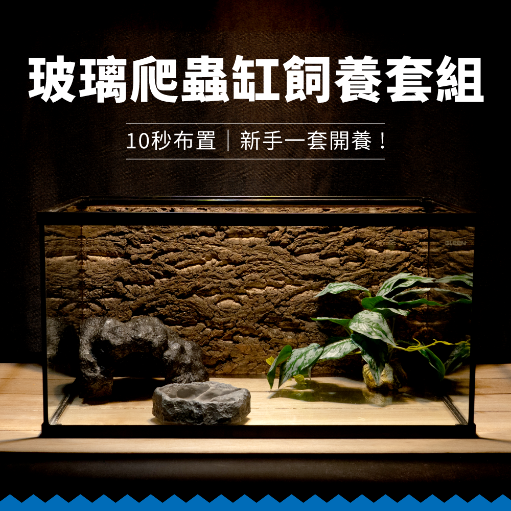 reptiletank_set_IMG_00