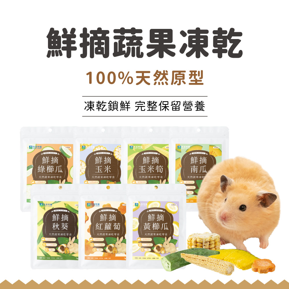 SmallPets_FreezeVegetables_IMG_1