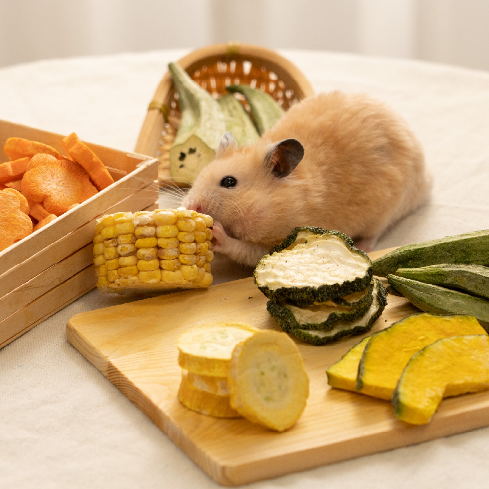 SmallPets_FreezeVegetables_IMG_3