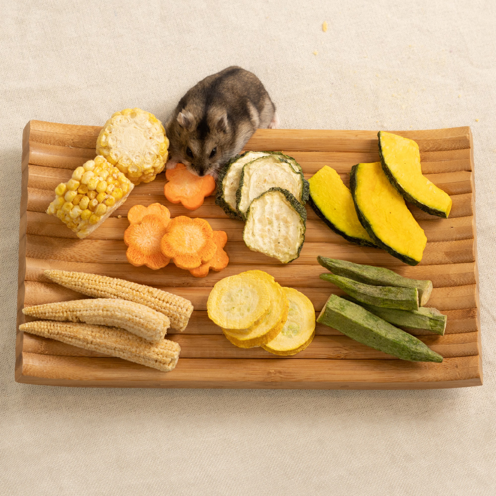 SmallPets_FreezeVegetables_IMG_4