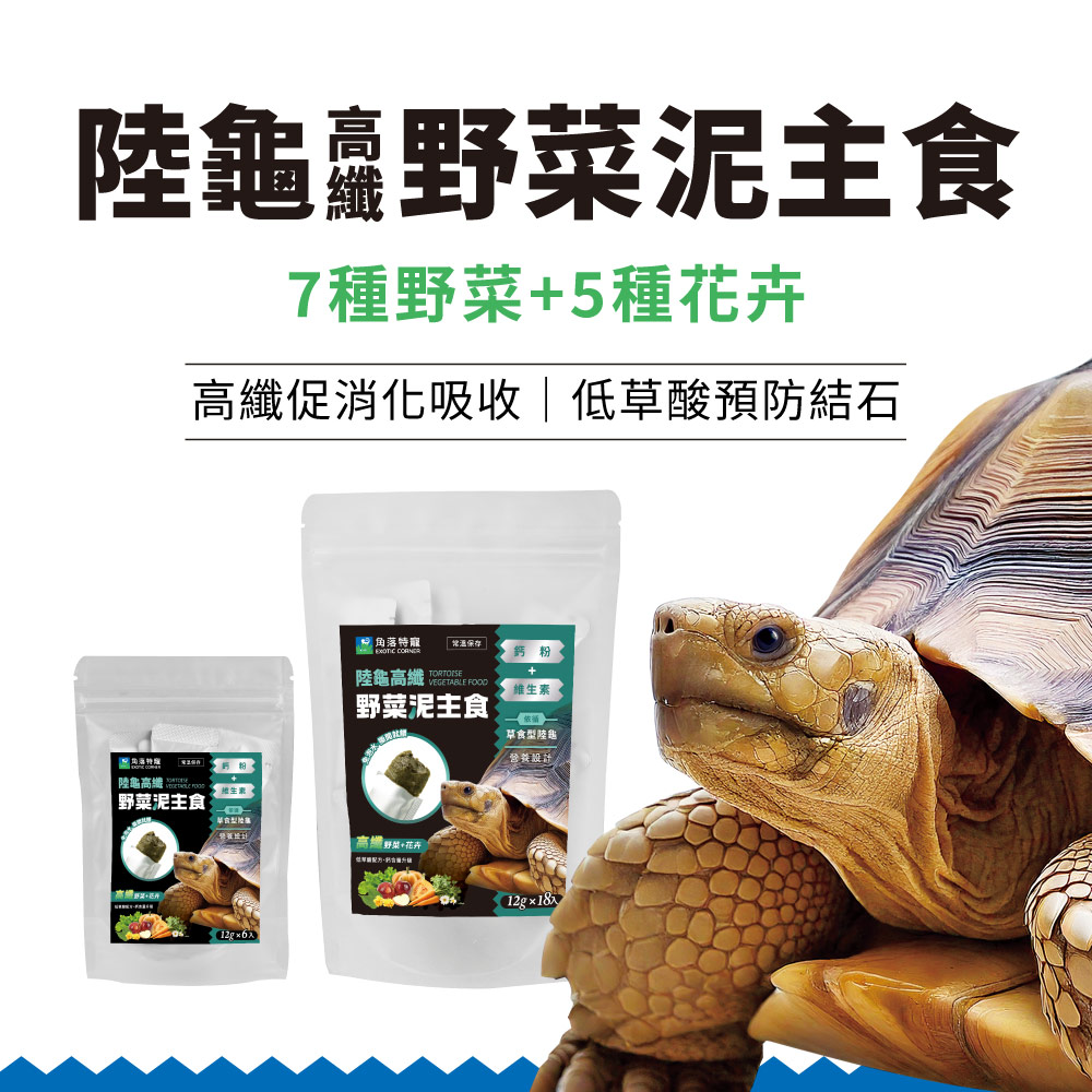 TortoiseVegetableFood_IMG_1